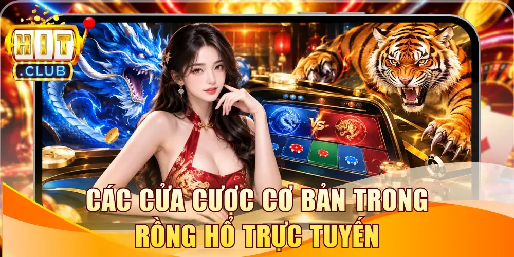 Các cửa cược cơ bản trong Rồng Hổ trực tuyến