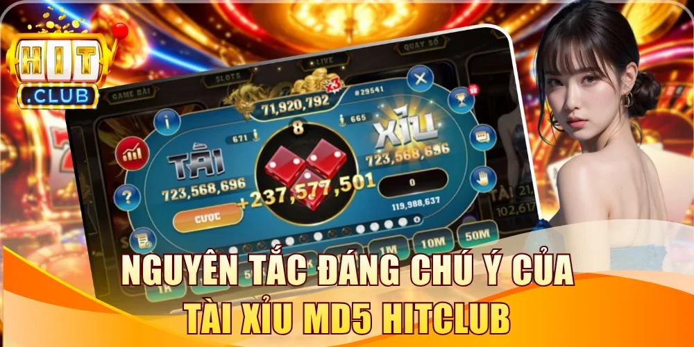 Nguyên tắc đáng chú ý của tài xỉu MD5 Hitclub